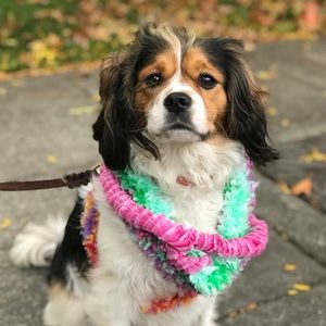 Meet your Posher, Sarika